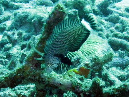 a0002177_2245494.jpg