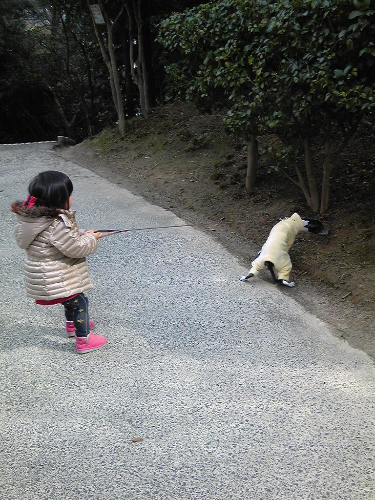 c0020681_11431872.jpg
