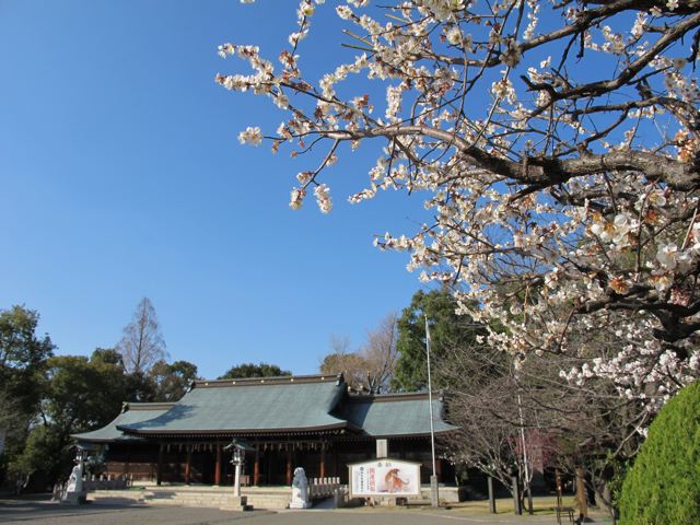 e0132881_015628.jpg