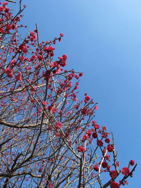 e0132881_0163547.jpg