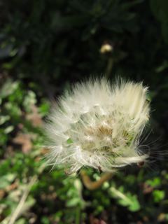 e0132881_0173588.jpg