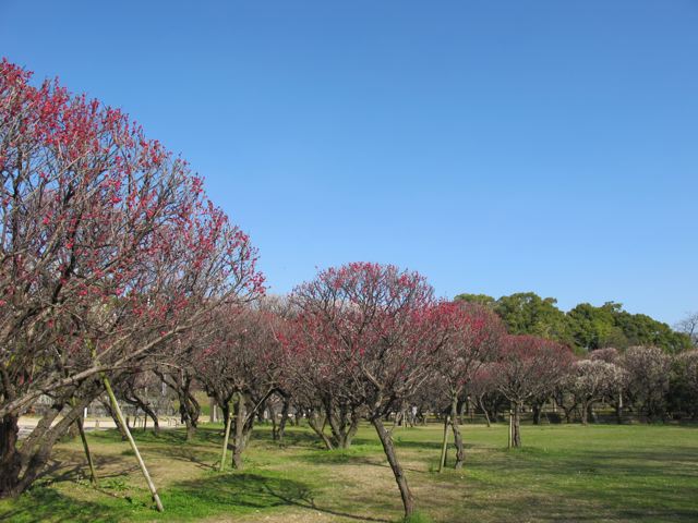 e0132881_0502556.jpg