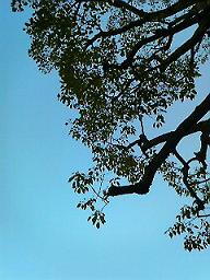 f0016981_1412622.jpg