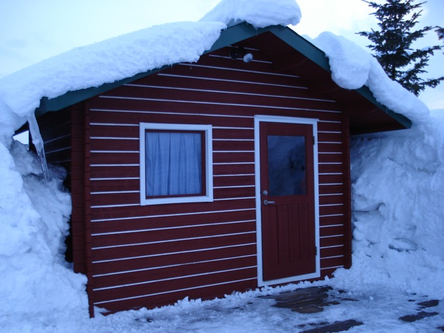 a0115090_2303562.jpg