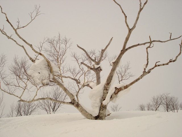 a0115090_2392976.jpg