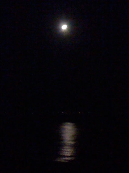 f0201191_034331.jpg