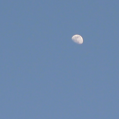 a0079098_210881.jpg