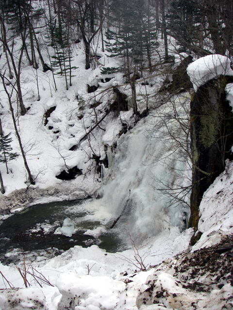 d0051707_211595.jpg