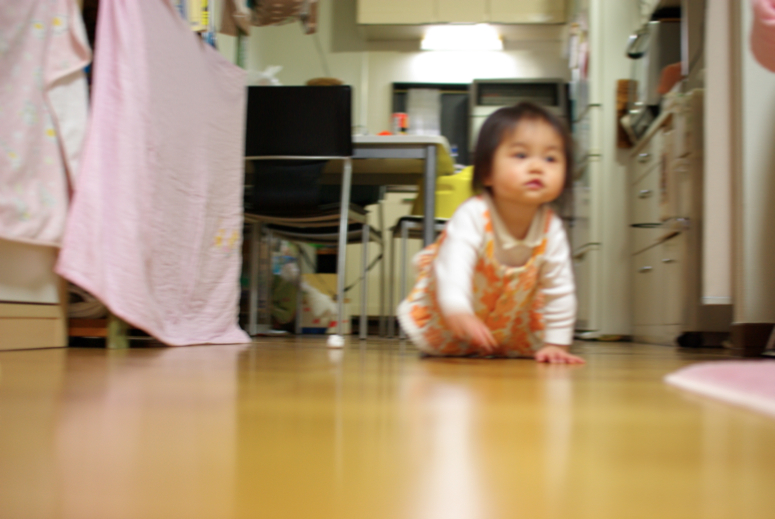 f0201607_7152649.jpg