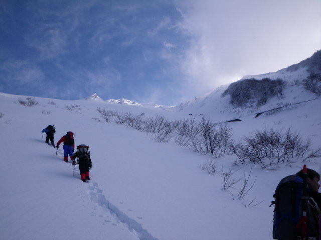 d0006512_21481286.jpg