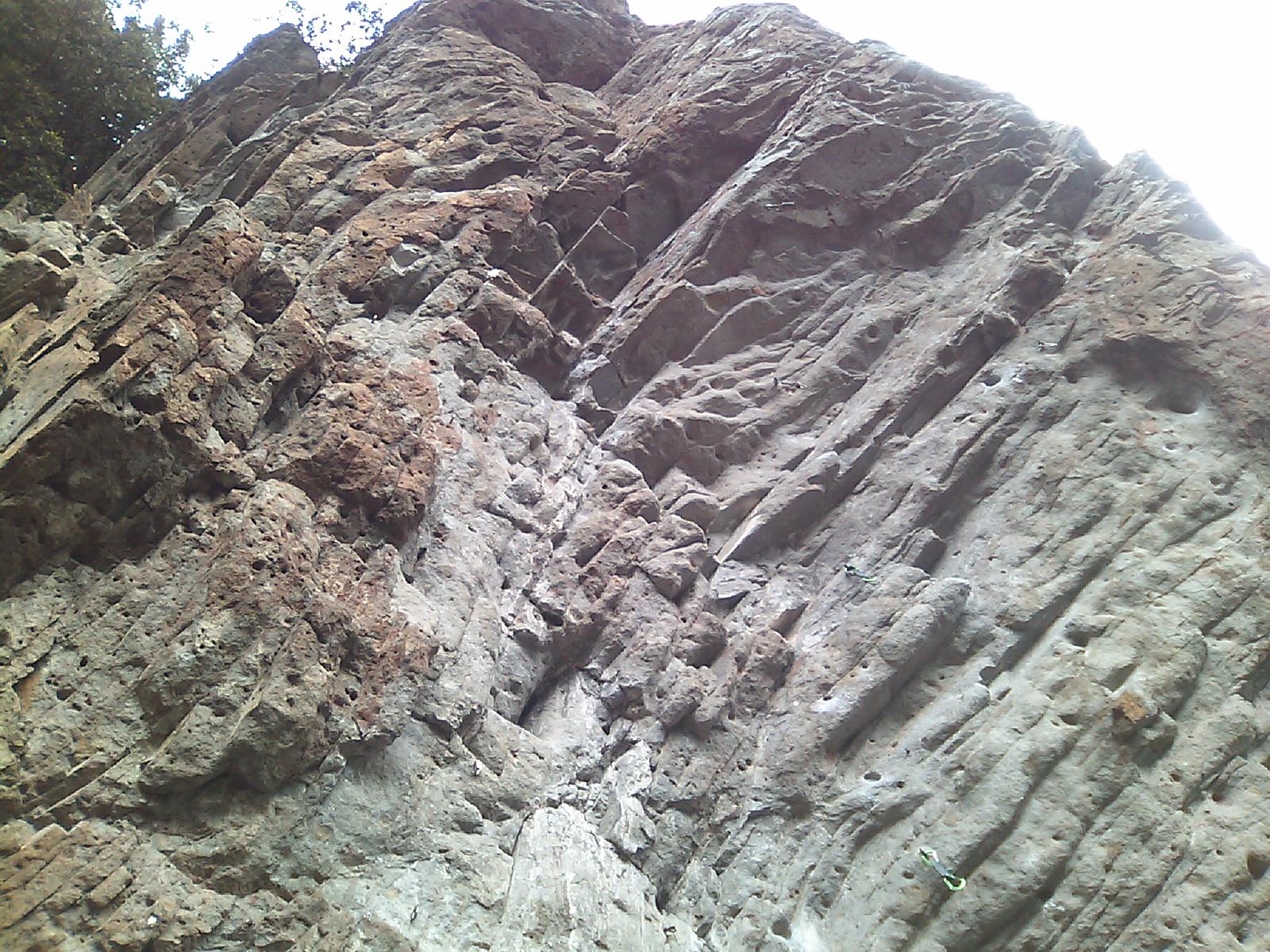 c0210618_115262.jpg