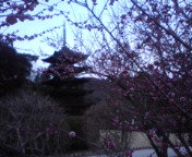 b0062019_12335595.jpg