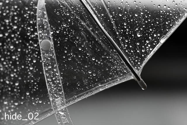 f0174521_1716937.jpg