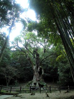 c0134124_21243489.jpg