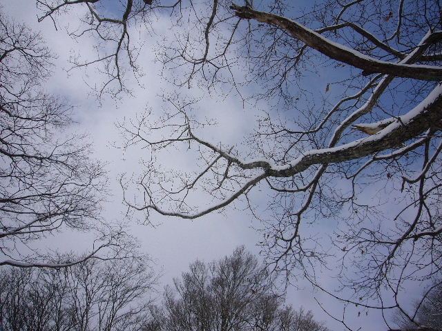 d0075131_0315923.jpg