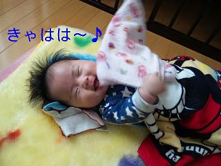 c0121141_0495182.jpg