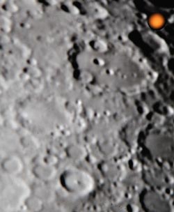 b0025745_482873.jpg