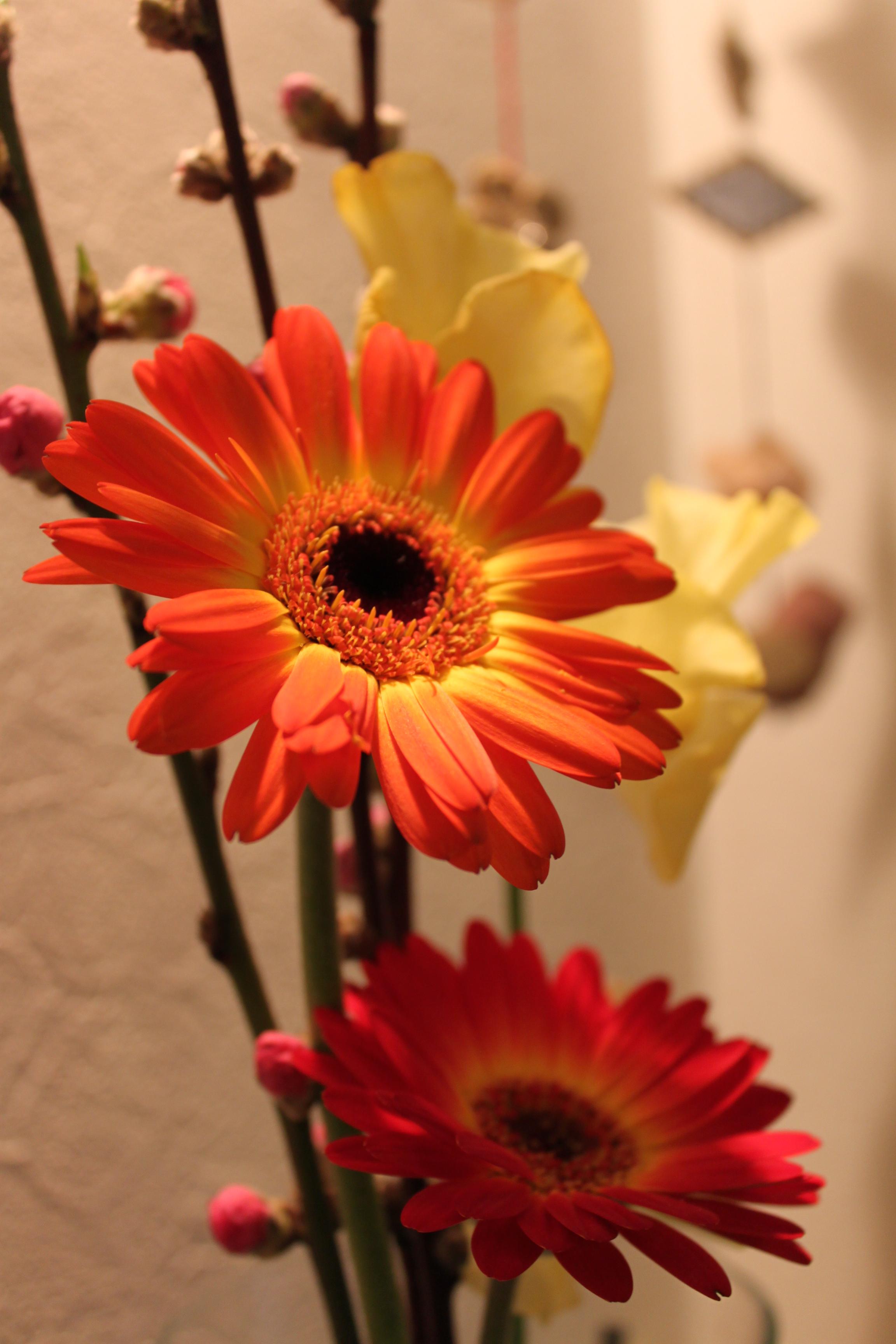 f0005449_15261315.jpg