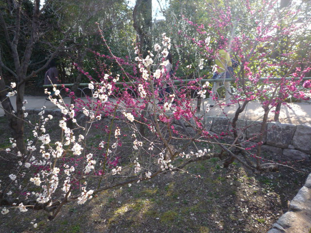 f0181251_16251823.jpg