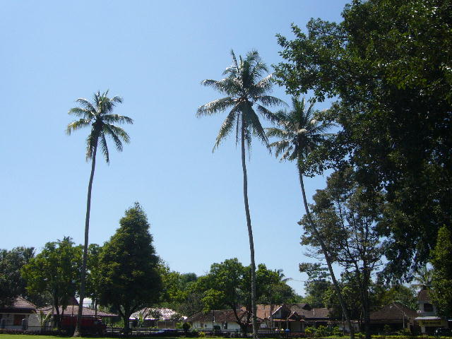 f0057565_17292534.jpg