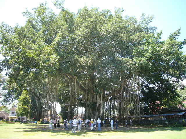 f0057565_1751181.jpg