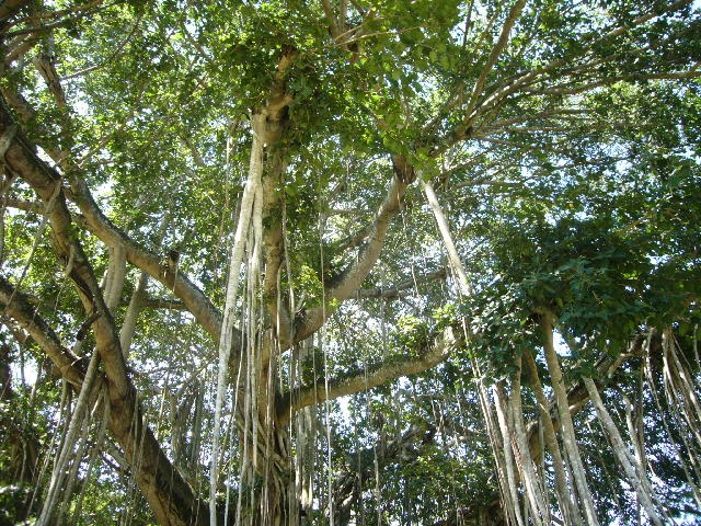 f0057565_1763024.jpg