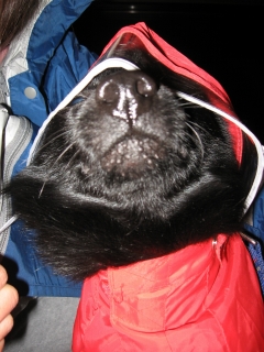 e0002466_2061451.jpg