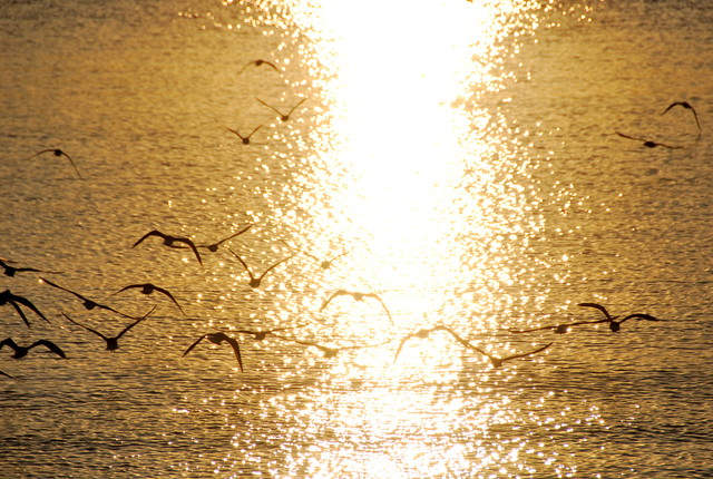 b0174068_1282820.jpg