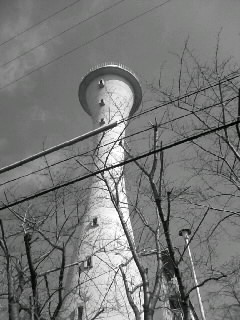 f0100480_21302433.jpg