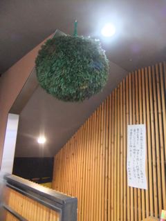 e0132881_0243298.jpg
