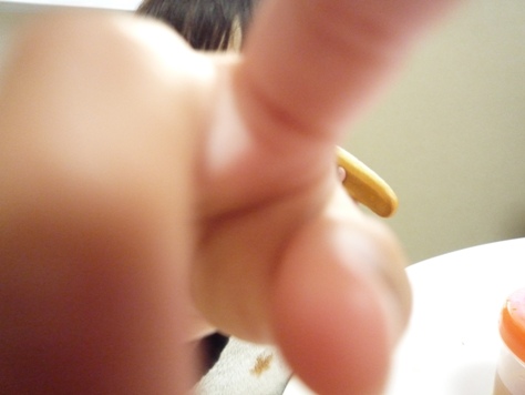 e0123286_1963130.jpg