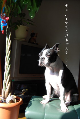 c0092787_15524090.jpg