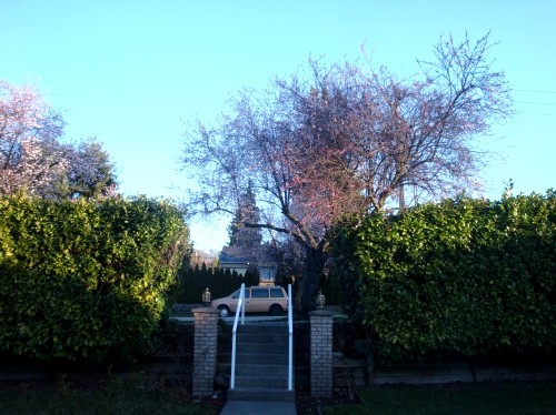 c0119891_9171430.jpg