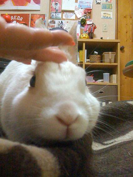 f0201191_2383099.jpg