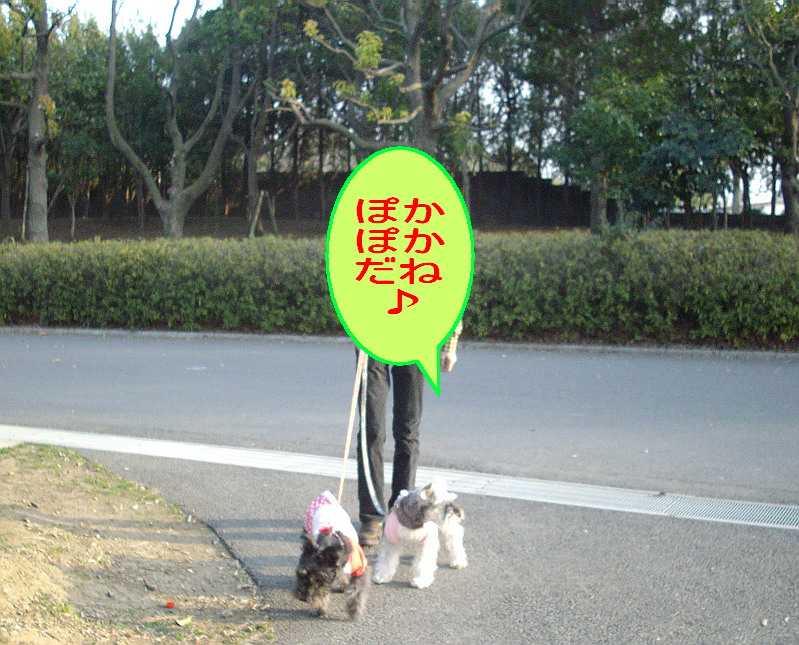 c0138198_1422209.jpg