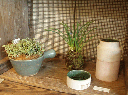 c0129702_0152917.gif