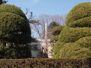 d0135403_15365975.jpg