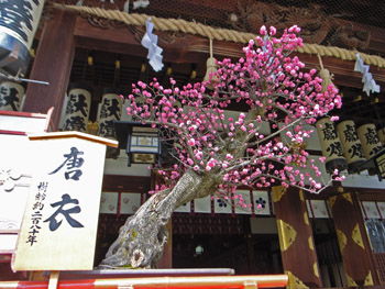 f0165303_2235441.jpg