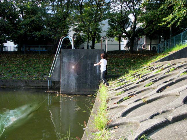 c0083518_1445292.jpg