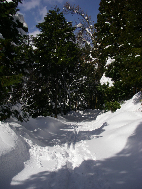 c0057221_8412682.jpg