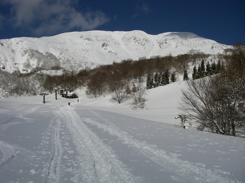 c0057221_8441723.jpg