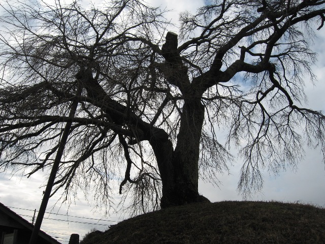 c0115922_21444856.jpg