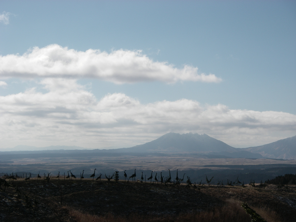 c0189724_22152245.jpg