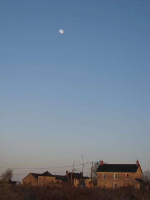 c0188527_222186.jpg