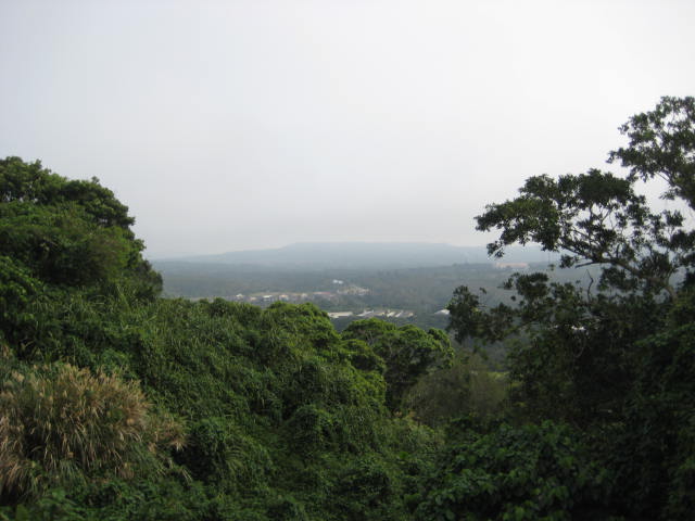 e0166032_213756.jpg
