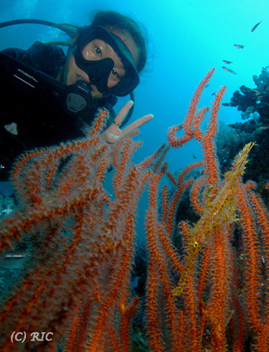 e0027447_145062.jpg