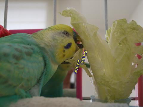 f0149057_22201160.jpg