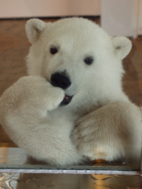 c0186760_2147195.jpg