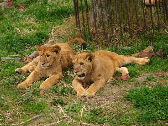 c0186760_2149144.jpg