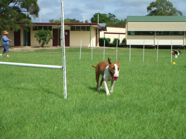 e0171460_16155100.jpg